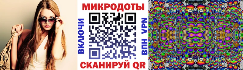 Псилоцибиновые грибы Psilocybe  где купить наркоту  Балей 