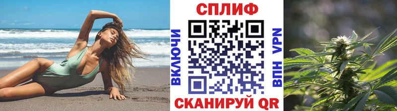 Конопля Amnesia  Балей 
